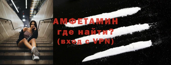 шишки Абаза