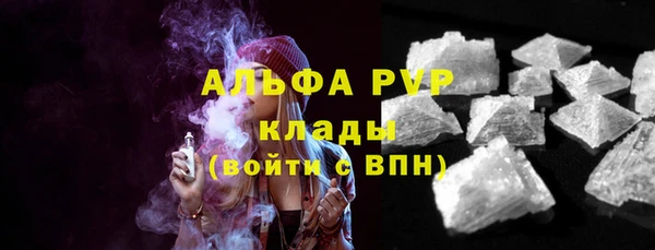 шишки Абаза