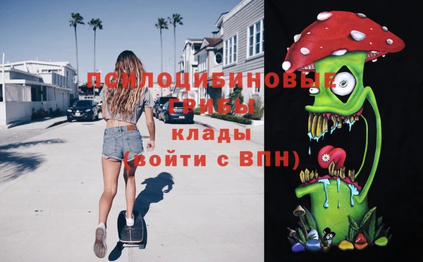шишки Абаза