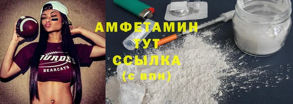 шишки Абаза