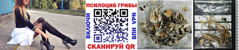Галлюциногенные грибы MAGIC MUSHROOMS  Кирсанов 